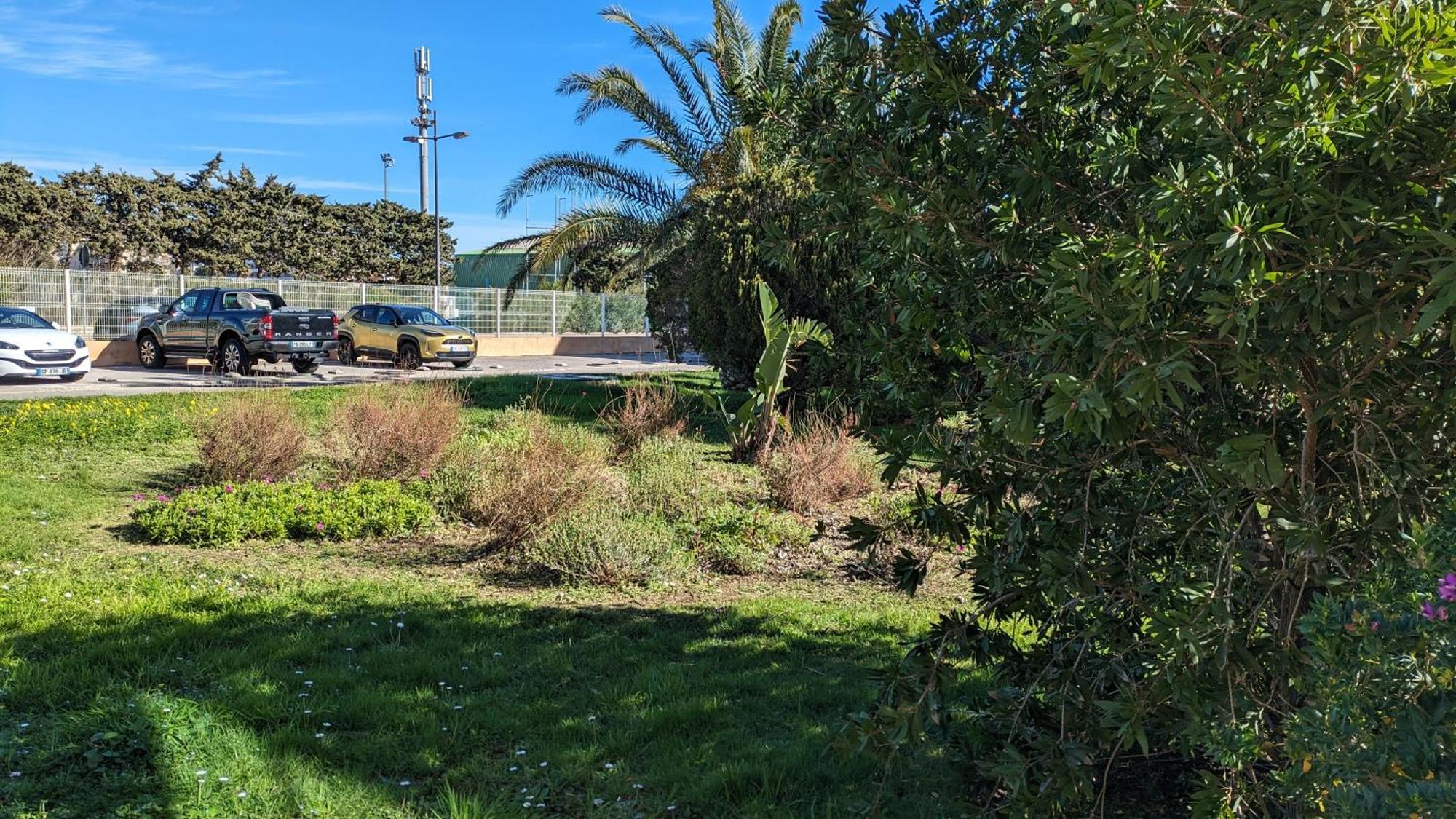 Studio Avec Coin Nuit, 100 M De La Mer Le Lavandou Exteriör bild
